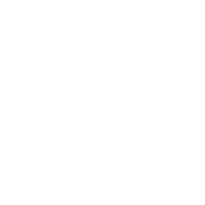 Zeak Store